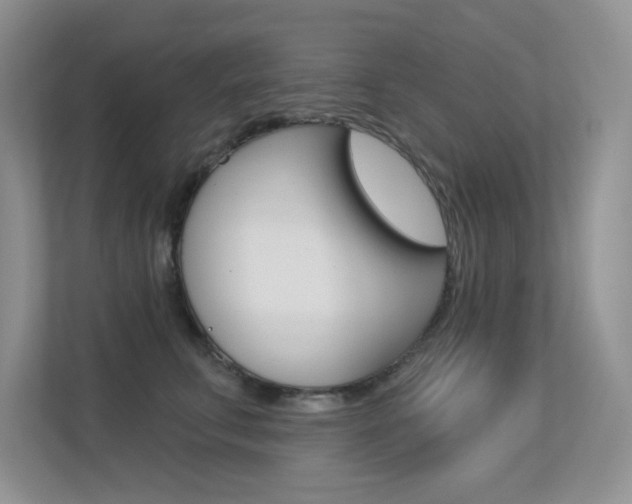X0000113320711200909140947