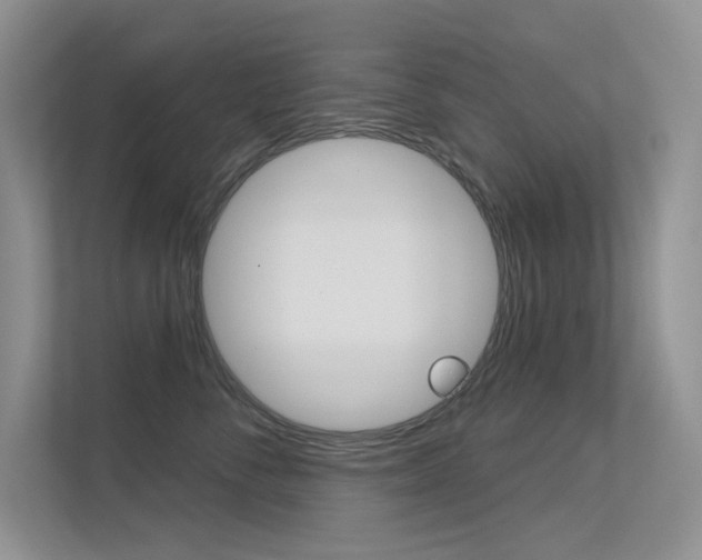 X0000113320716200909140947
