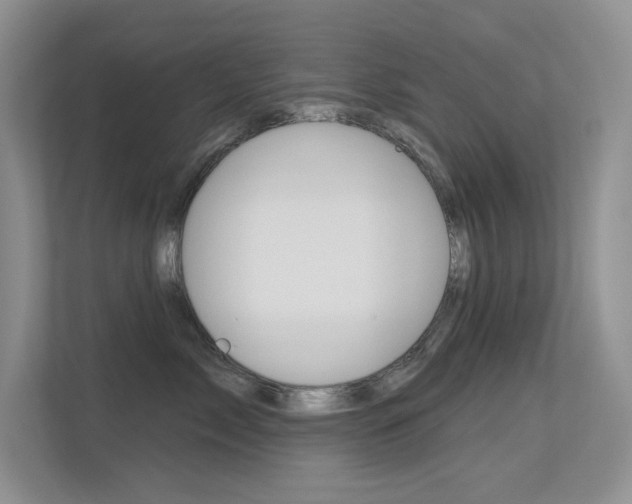 X0000113320717200909140947