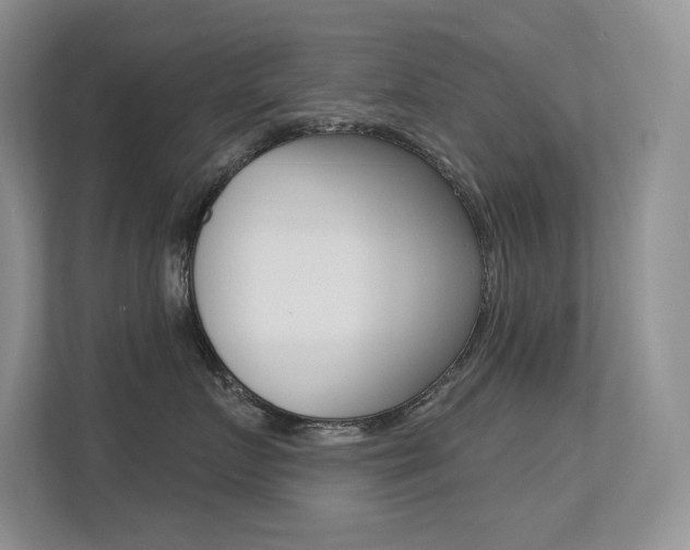 X0000113320719200909140947