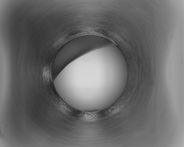 X0000113320720200909140947