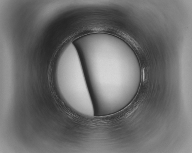 X0000113320723200909140946