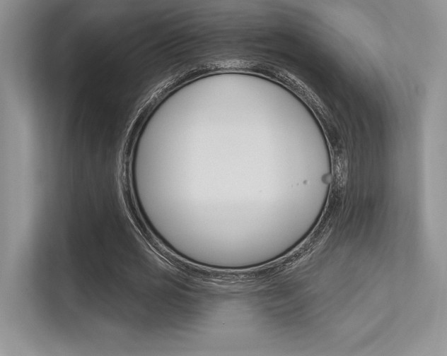 X0000113320725200909140946