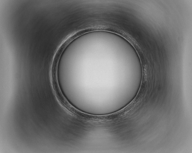 X0000113320726200909140946