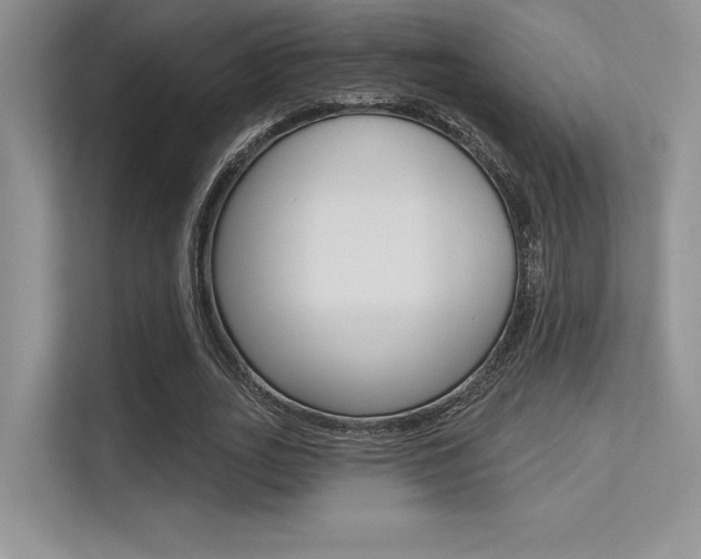 X0000113320727200909140946