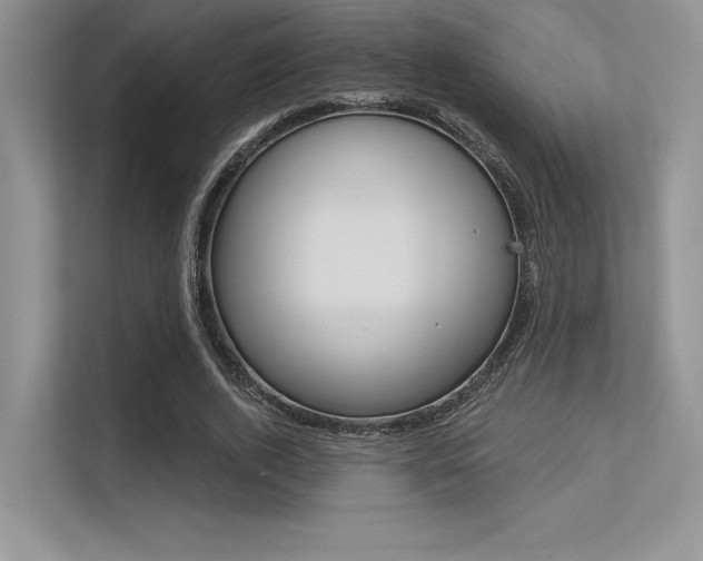 X0000113320728200909140946
