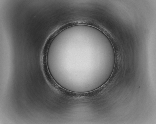 X0000113320730200909140946