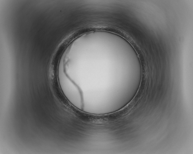 X0000113320731200909140946