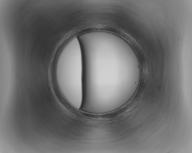 X0000113320734200909140946