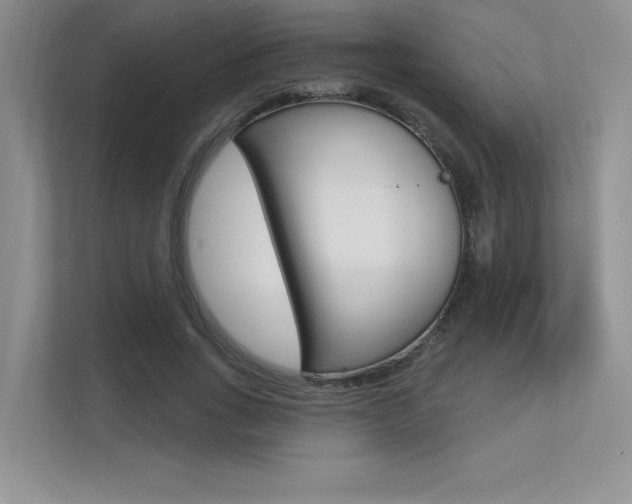 X0000113320735200909140946