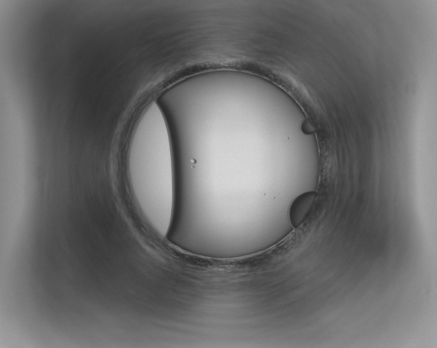 X0000113320736200909140946