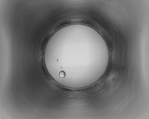 X0000113320737200909140946