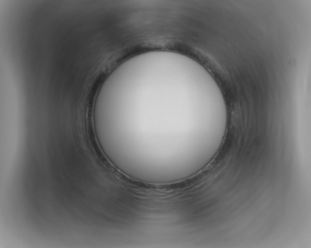 X0000113320739200909140946