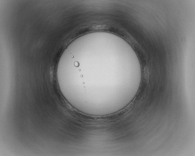 X0000113320741200909140946