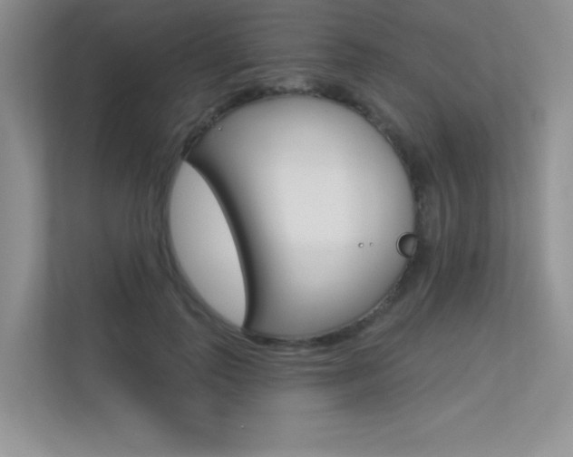 X0000113320747200909140946