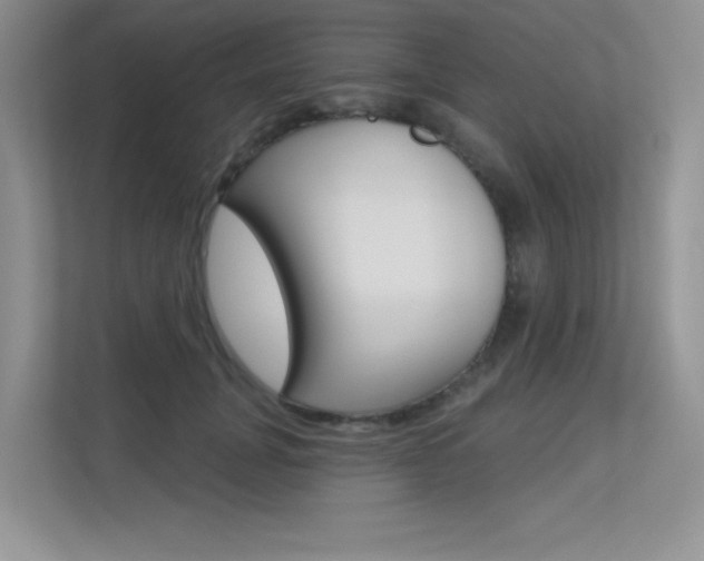 X0000113320751200909140946