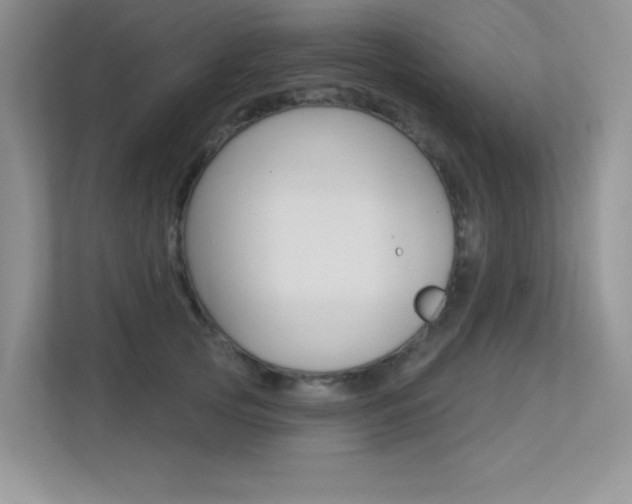 X0000113320753200909140946