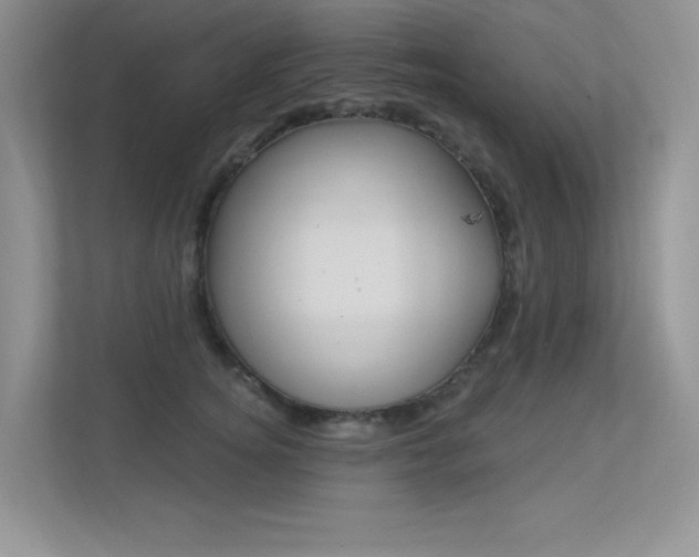 X0000113320756200909140947