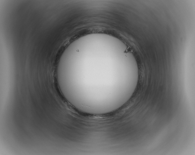 X0000113320759200909140947