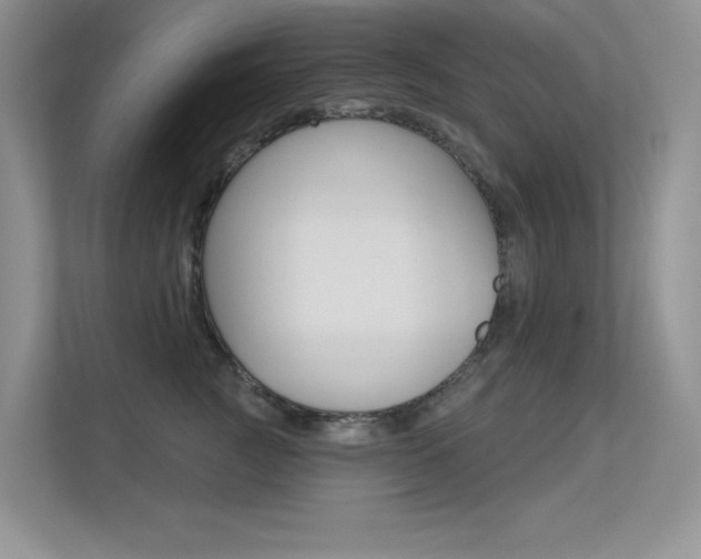 X0000113320761200909140947