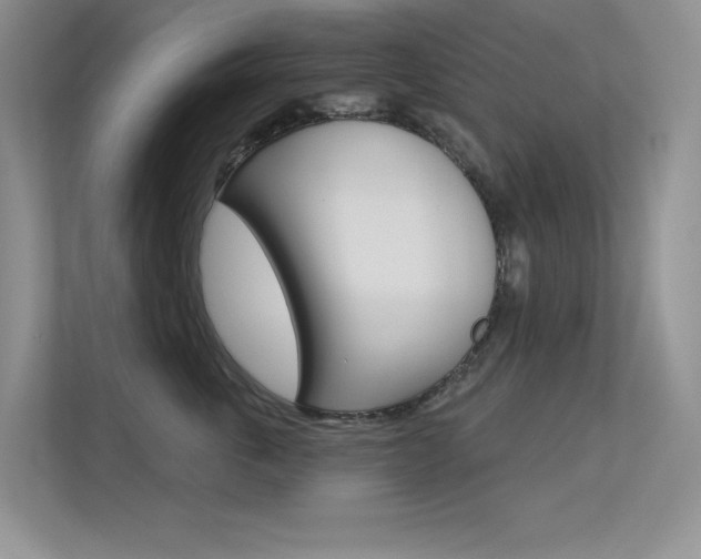 X0000113320763200909140947