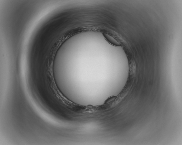 X0000113320764200909140947