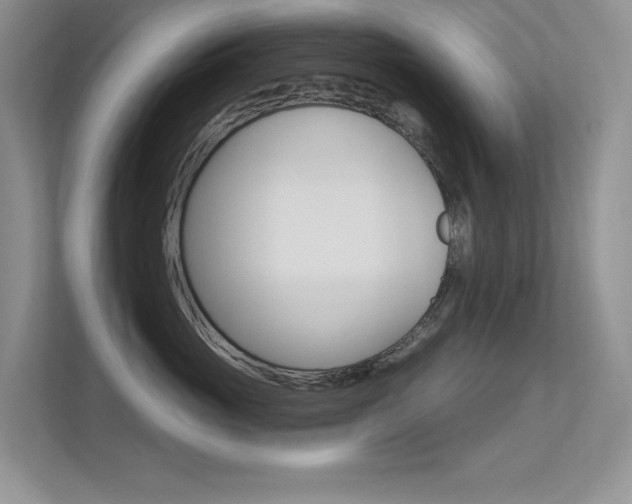 X0000113320765200909140947