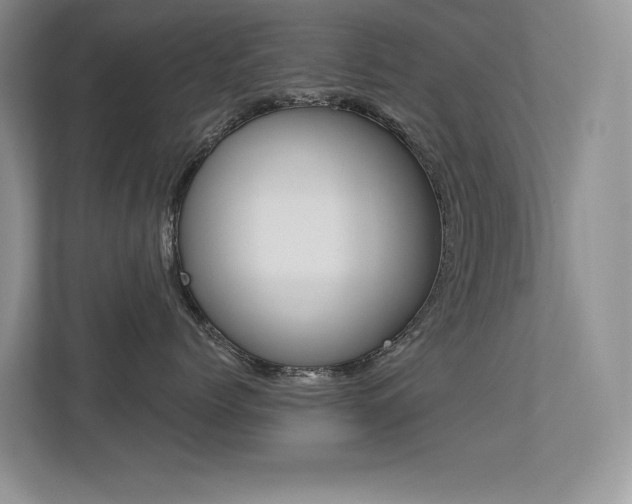 X0000113320768200909140947