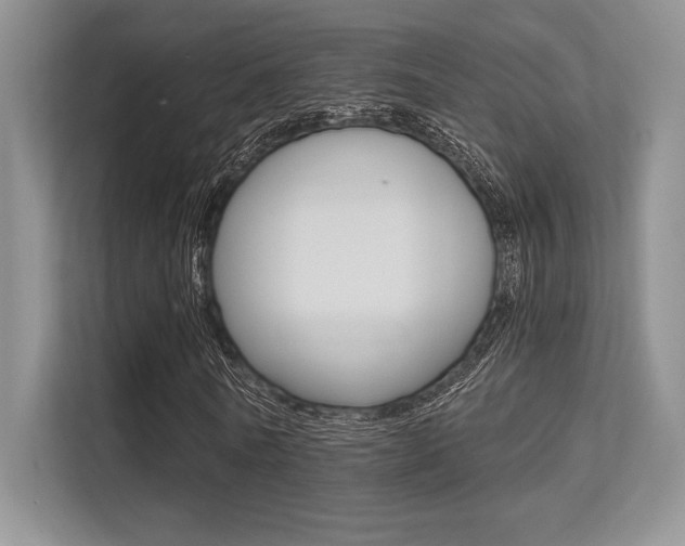 X0000113320770200909140946