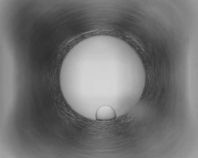 X0000113320773200909140946