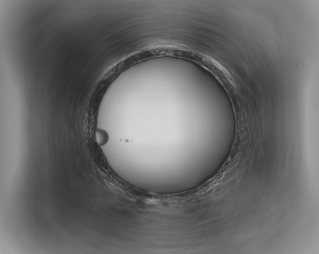 X0000113320775200909140946