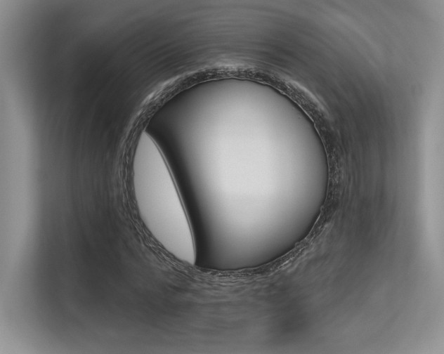 X0000113320776200909140946