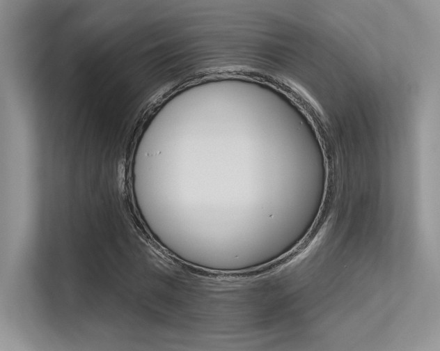 X0000113320777200909140946