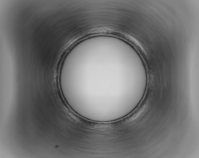 X0000113320778200909140946