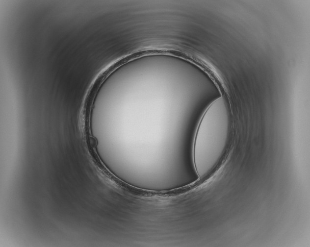 X0000113320779200909140946