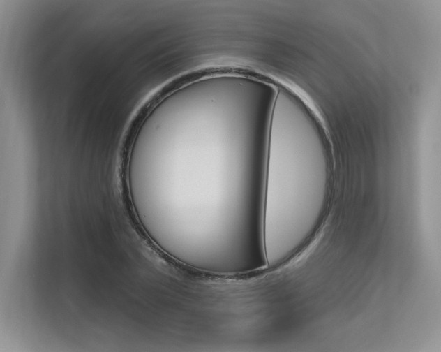 X0000113320783200909140946