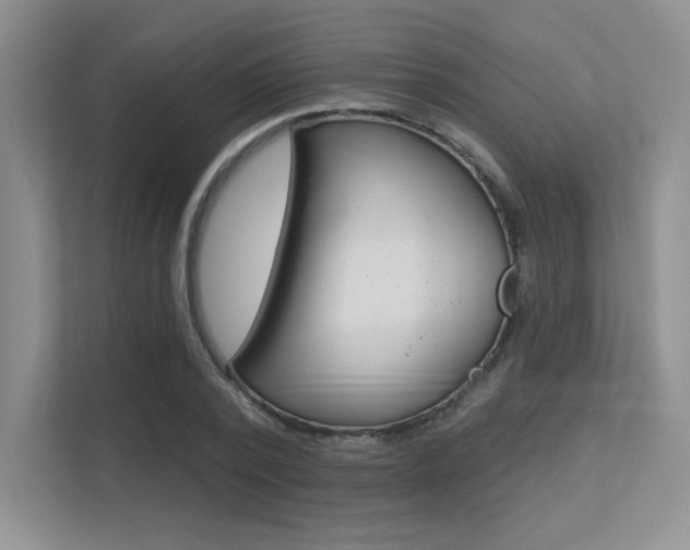 X0000113320784200909140946