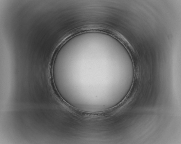 X0000113320786200909140946