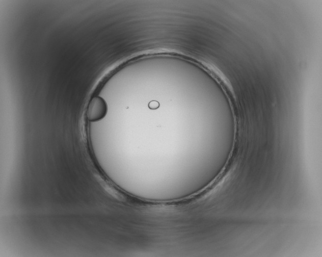 X0000113320789200909140946