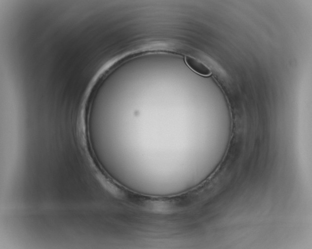 X0000113320792200909140946
