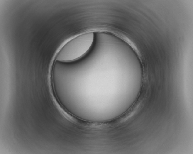 X0000113320803200909140946