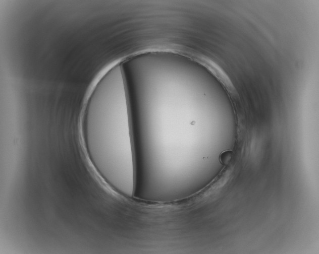 X0000113320804200909140946