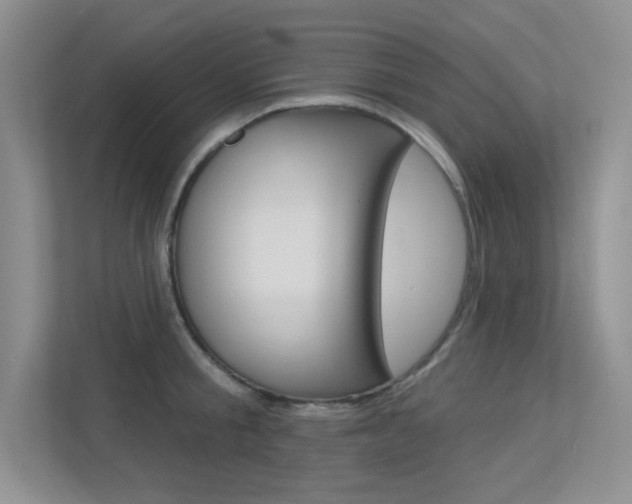 X0000113320805200909140946