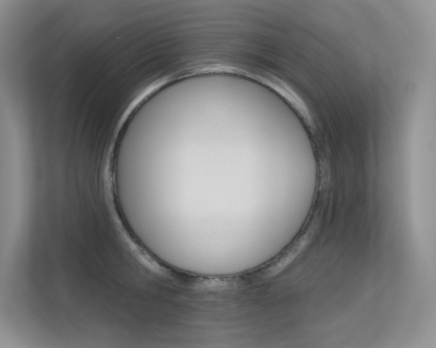 X0000113320806200909140946