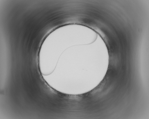 X0000113320807200909140946