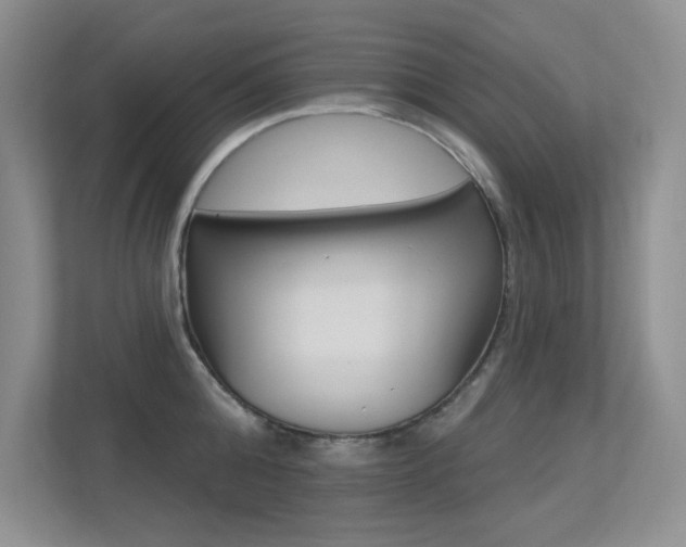 X0000113320808200909140946