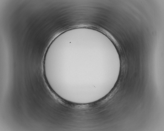 X0000113320810200909140946
