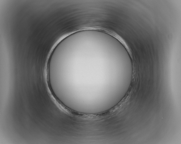 X0000113320811200909140946