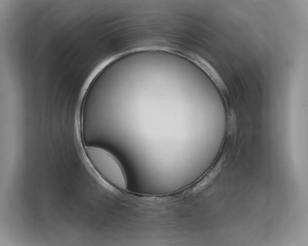 X0000113320812200909140946
