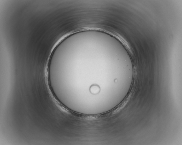X0000113320814200909140945
